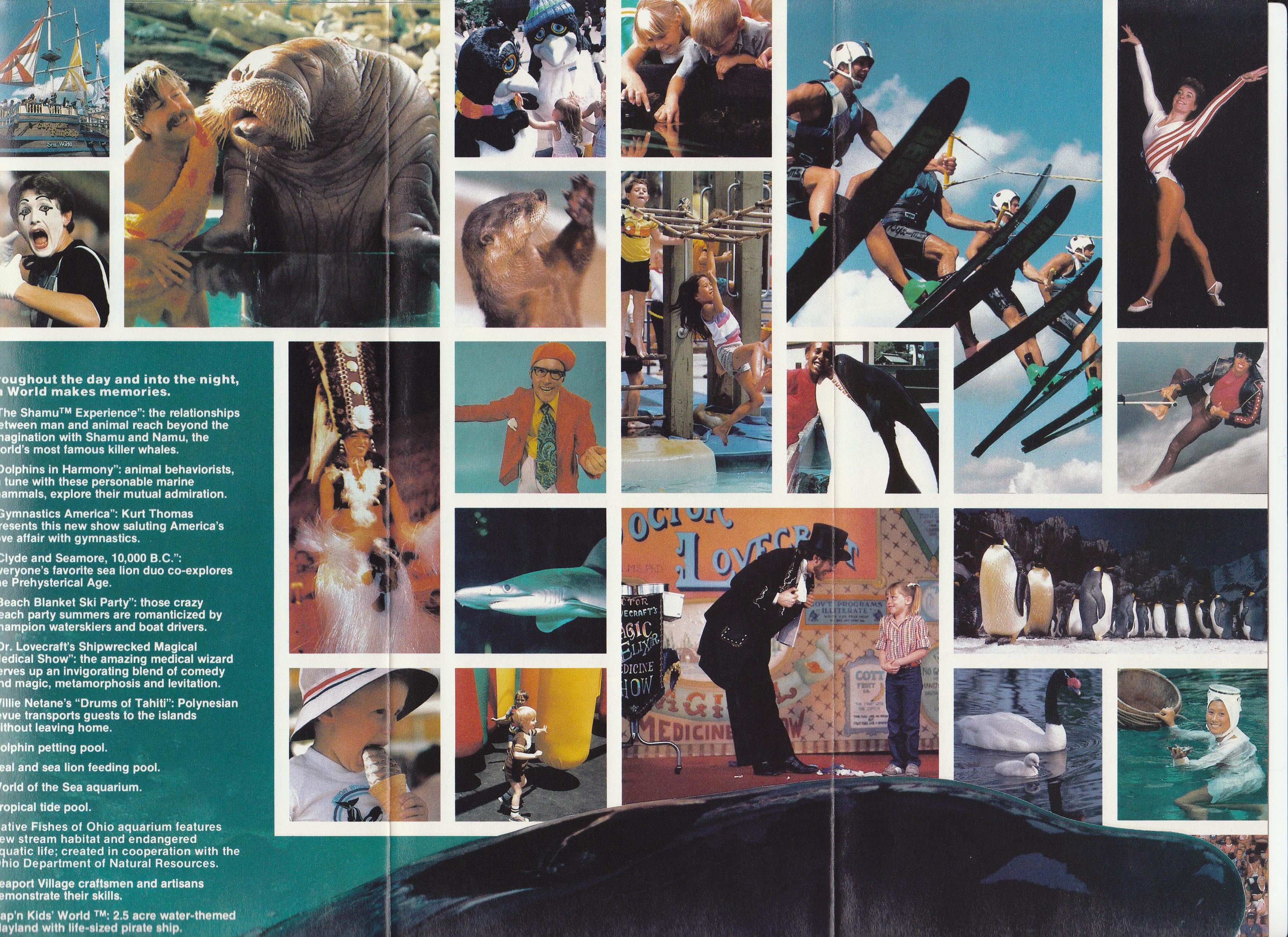 SeaWorldBrochure.jpg